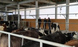 Podrška domaćoj proizvodnji: Ministar Čajić posjetio uspješne farme u Visokom