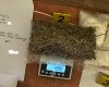 Pronalazak opojne droge i sredstava koja služe u procesu prodaje na području Grada  Zenice