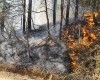 Poziv građanima na pojačan oprez zbog povećanog rizika od    šumskih požara